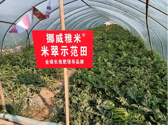 1655433042169626.png