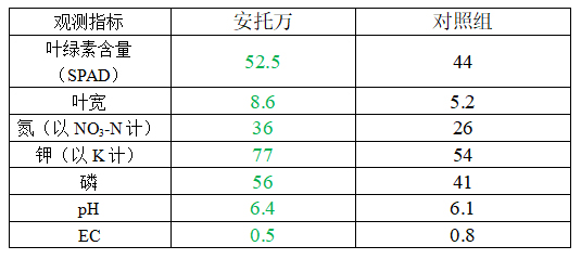 无标题-3.jpg